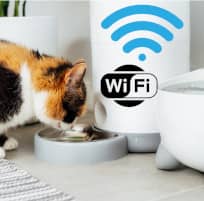 Automatischer Futterspender für Katze und Hund mit APP WiFi Vergleich