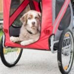 Fahrradanhänger für Hunde