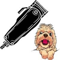 Haarschneidemaschine Hund
