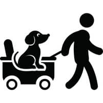 Bollerwagen für Hunde