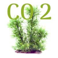 CO2 Anlage Aquarium Blog und Ratgeber mit Vergleich