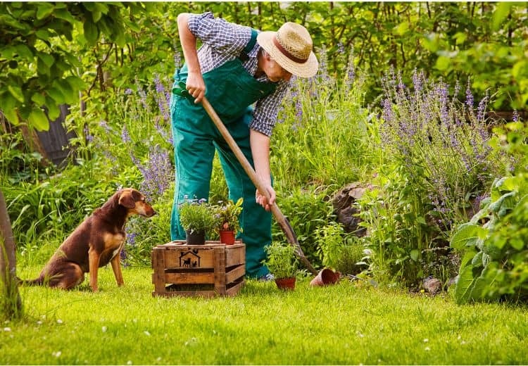 Steckzaun aus Metall für Hunde Hundebesitzer mit Garten