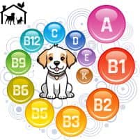 Barf Vitamin B-komplex für Hunde erfahrungen