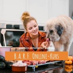 [Online-Kurs] BARF für Hunde 2.0