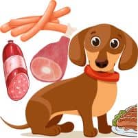 Ernährungstipps für Dackel: Was Sie Ihrem Hund füttern sollten