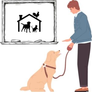 Die häufigsten Fehler bei der Hundeerziehung
