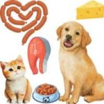 Kurs "Tierernährungsberatung Hund und Katze"
